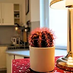 Sopot Comfy Apartment Sa